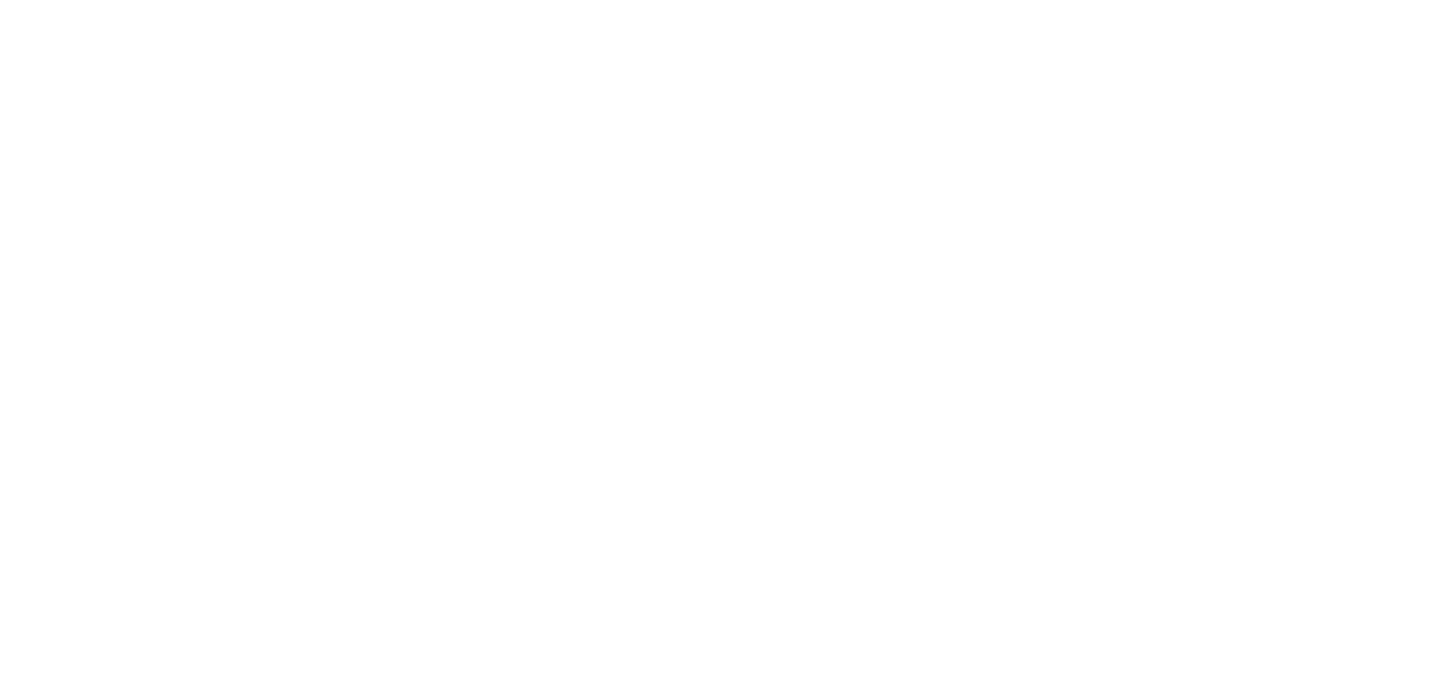 გილდია სთორ